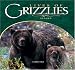 Lives of Grizzlies: Alaska