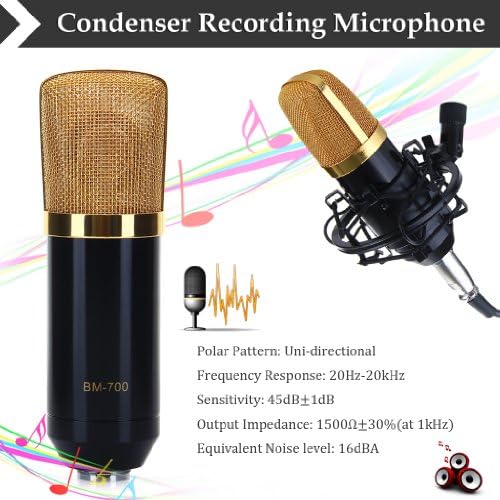 Professional Studio Condenser Sound Recording Cardiod Unidirectional Mic Microphone with Shock Mount BM-700 (Black)