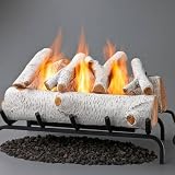 25" Convert-To-Gel Log Set for Traditional Fireplaces - Birch
