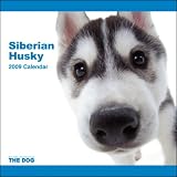 2009 Siberian Husky ARTLIST Square Wall Calendar