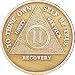 18 YEAR Bronze MEDT - AA Recovery Medallion / Coin - Anniversary or Birthday