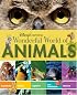 Disney Learning: Wonderful World of Animals (Disney Learning)