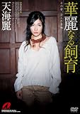�ؗ�Ȃ鎔�� �V�C�� [DVD]