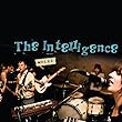 cover of The Intelligence – Males