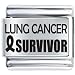 Lung Cancer Survivor Italian Charms Bracelet Link