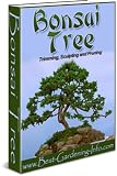 Bonsai Tree For Beginners: Growing, Trimming, Sculpting And Pruning 51WjekiAs5L. SL160 Bonsai Tree For Beginners: Growing, Trimming, Sculpting And Pruning