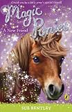 Cover of Magic Ponies by Sue Bentley 0141325933