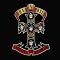 Guns N' Roses Picture 13