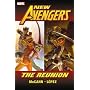 New Avengers: The Reunion de Jim McCann