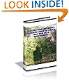 Raised Bed Intensive Garden: How To Build One For Self Sufficiency