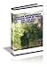 Raised Bed Intensive Garden: How To Build One For Self Sufficiency