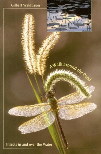 A Walk around the Pond: Insects in and over the Water under Aquatic Life in The Books Store