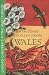 Stories From Wales -