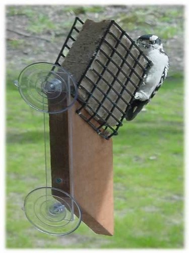 Songbird Essentials Suet Window Suction Cups