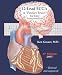 ECG Pocket Guide (Pocket Brain) - ECG Interpretation