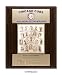 Chicago Cubs Healy Plaque - 1908 World Series Champs
