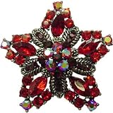 Victorian Star Brooch, Red