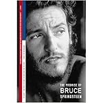 It Ain't No Sin To Be Glad You're Alive: The Promise of Bruce Springsteen book cover