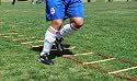32' Agility Ladder