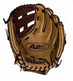 Wilson A2K Fastpitch Model Dual Post Web Glove, 12-Inch