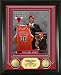 Derrick Rose Chicago Bulls #1 Overall Pick 2008 NBA Draft Day 24KT Gold Coin Photo Mint
