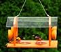 Songbird Essentials SERUBGRAND Grand Slam Oriole Bird Feeder