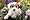 Schmidt Spiele 56012 - Hund Baboo, 100 Teile