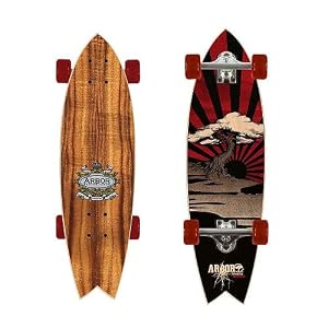 Arbor GB Sizzler Mini Longboard 2009 by 