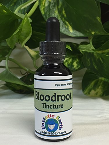100% Wild Harvested Bloodroot Tincture ~ 1 Ounce Bottle ~ 100% Wild Harvested Bloodroot Tincture ~ 1 Ounce Bottle ~