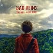 Bad Veins - The Mess We've Made