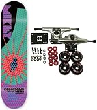ALIEN WORKSHOP Complete Skateboard TAYLOR COLOR BLIND