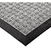 Durable Coporation Polyester Stop-N-Dry Abrasion Resistant Mat, for Indoors and Vestibules, Gray