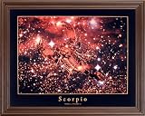 Scorpio Scorpion Zodiac Sign Astrology Picture Framed Art Print