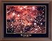 Scorpio Scorpion Zodiac Sign Astrology Picture Framed Art Print