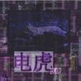 Iridescent Ideogram