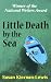Little Death by the Sea (Maggie Newberry Mysteries)