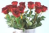 Review SIL  / Large Deluxe Single Stem Red Rose [Toy]