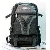 Toshiba Mini NB205-N311/W 10.1-Inch Frost White Netbook carrying Sporty Multi-Strap Everyday Backpack (Grey)