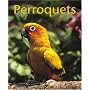 Perroquets
