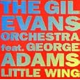 Little Wing
