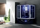 Jacuzzi Whirlpool Bathtub Shower Steam Sauna Computerized Massage Jets SPA TV Phone Black