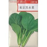 在来固定種　野菜の種「東京黒水菜〔小松菜〕」5ml約1000粒　畑懐〔はふう〕