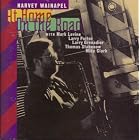 At Home On the Road by harvey wainapel