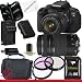 Canon EOS Rebel T4i Digital Camera with EF-S 18-55mm f/3.5-5.6 IS II & Canon EF 75-300mm f/4-5.6 III Telephoto Zoom Lens 8GB Package 1