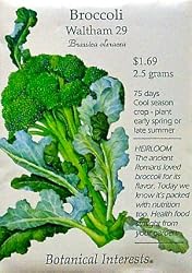 Broccoli Waltham Heirloom Seeds 125 Seeds