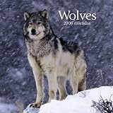Wolves 2008 Mini Wall Calendar