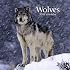 Wolves 2008 Mini Wall Calendar