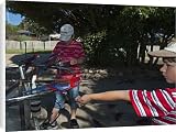 Canvas Prints of Crimson Rosellas Platycercus elegans being fed at ORellys Lamington from David Tipling