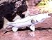Taxidermy Quality 12" Fiberglass Snook Wall Mount