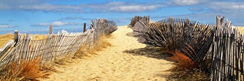 Path To The Outer Beach Cape Cod 12x18 Art Print by Joseph Condon
